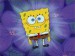 spongebob_biography_3
